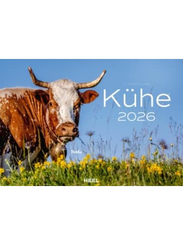 Heel Verlag Kalender - Kühe Kalender 2026 Wandkalender