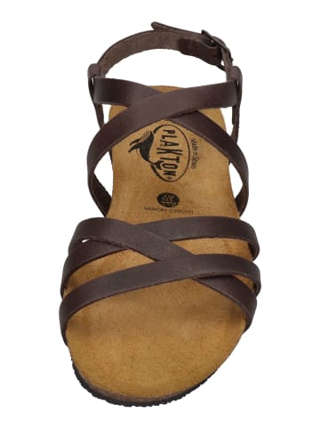 Plakton Sandalen FRAN VALI 405184 in blau