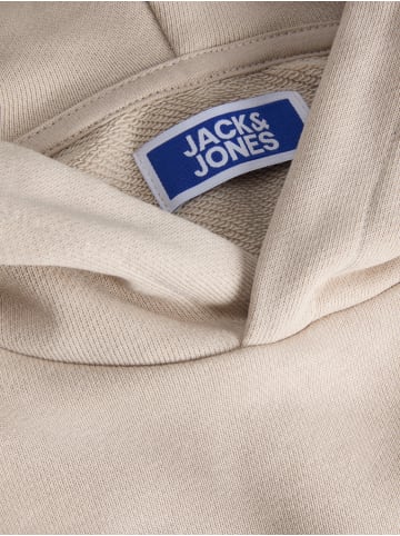 JACK & JONES Junior Kapuzensweatshirt Jjedenver Hoodie in moonbeam