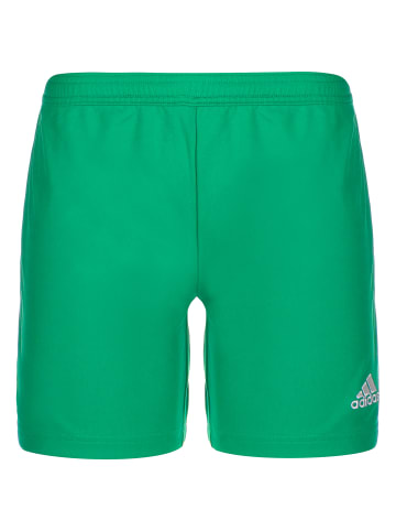 adidas Performance Trainingsshorts Entrada 22 in grün / weiß