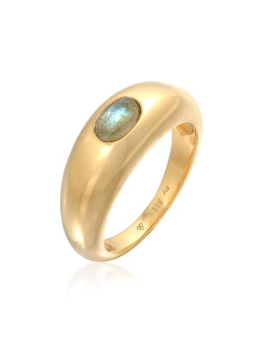 Elli Ring 925 Sterling Silber Siegelring in Gold