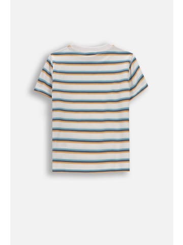 Coccodrillo T-shirt mit kurzen Ärmeln in bunt