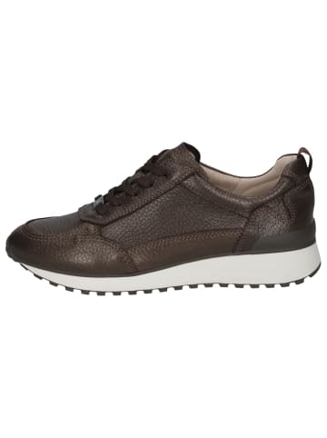 Caprice Sneaker in DK BR PER.DEER