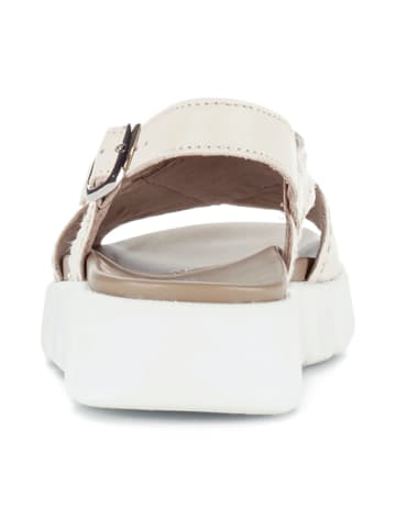 Gabor Sandalen in Beige