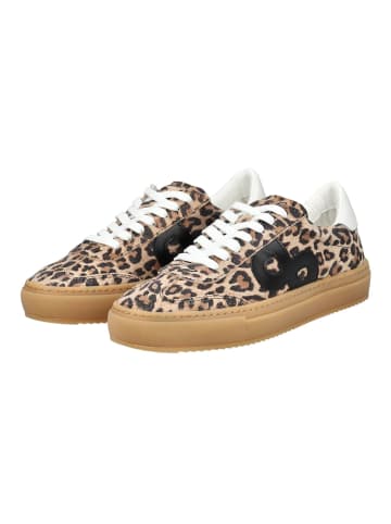 Pavement Sneaker in Leopard