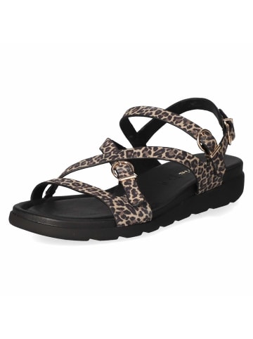 Tamaris Sandalette in beige