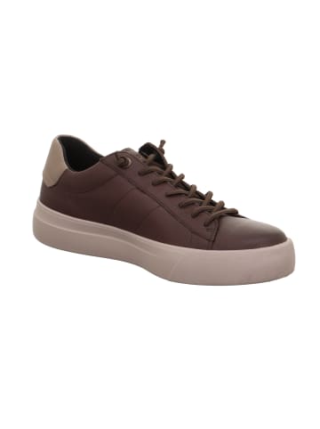 Legero Sneakers Low MONDO in Corvino Braun