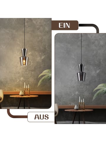 ZMH Pendelleuchte 1-flammige E27 in rauchgrau Glas Vintage rund