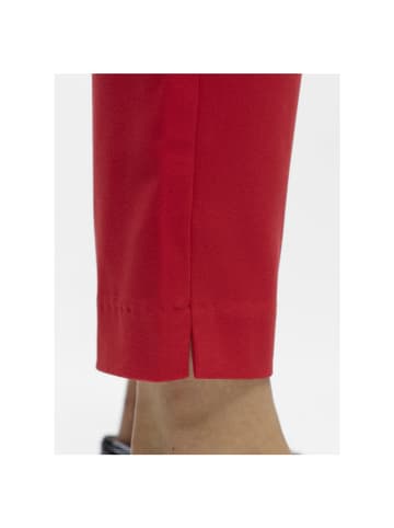 Object Hose in poinsettia