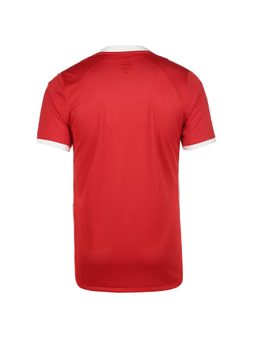 Nike Performance Fußballtrikot Challenge IV in rot / weiß