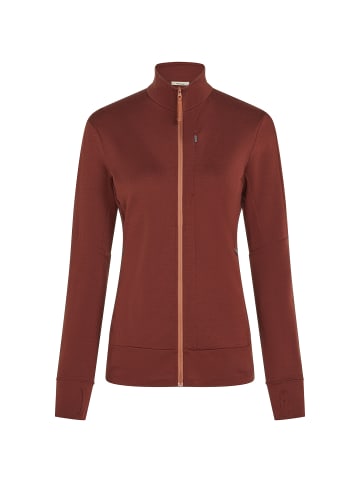 icebreaker Kleider Mer 260 Quantum IV LS Zip in Grün2020