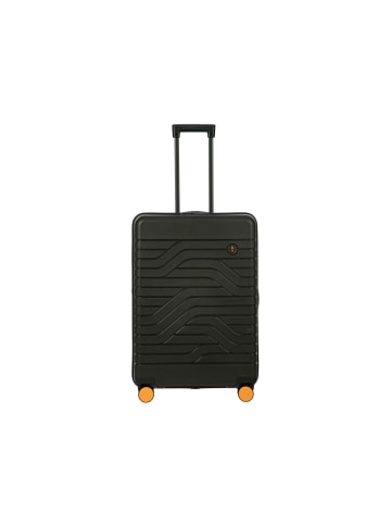 BRIC`s Trolley für Erwachsene in olive in olive