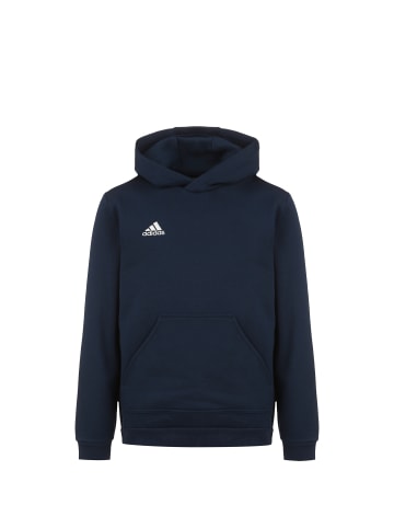 adidas Performance Trainingskapuzenpullover Entrada 22 in blau