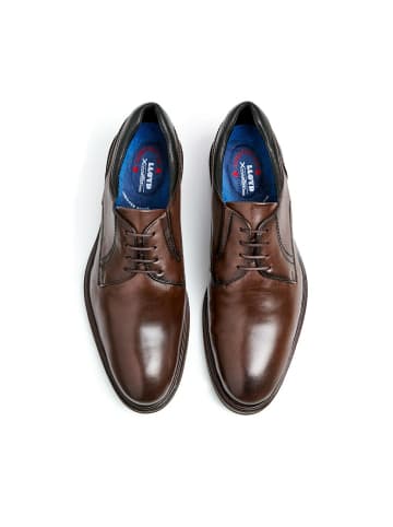 LLOYD Business Schuhe für Herren in mocca