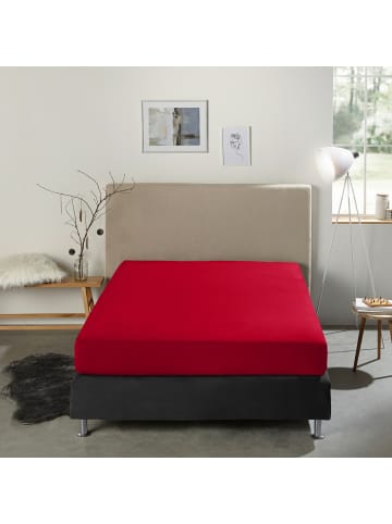 REDBEST Single-Jersey Boxspring-Spannbettlaken Denver in rot