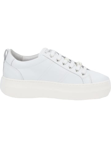 Nero Giardini Schnürschuhe in Weiß