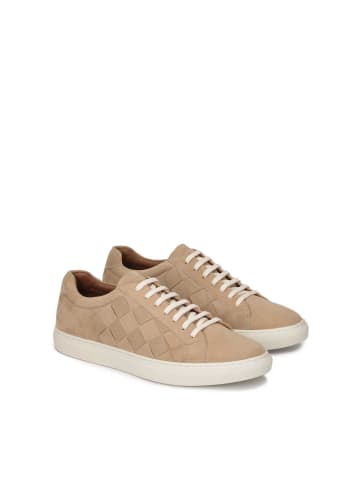 Kazar Schnürschuhe in Beige