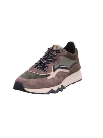 Floris van Bommel Schnürschuh in grün