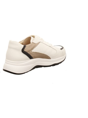 Finn Comfort Sneaker in weiß