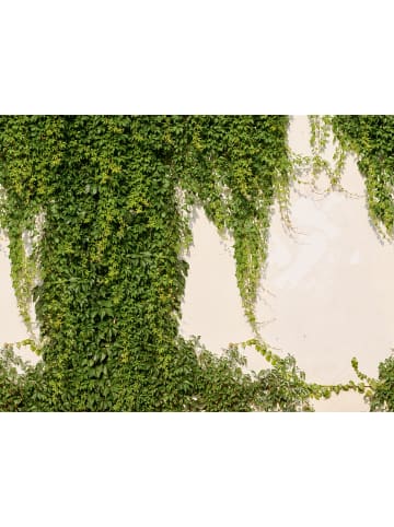 A.S. Création Tapete Ivy Wall in Grün 
