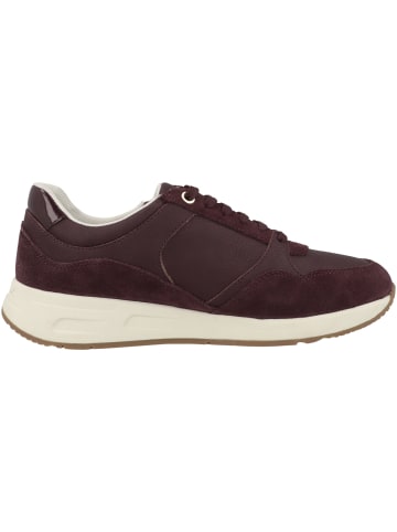 Geox Sneaker low D Bulmya B in bordeaux