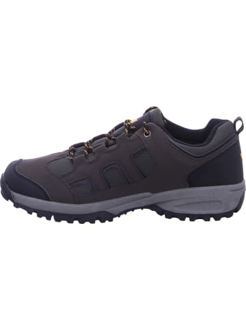 Lico Trekkingschuh Mit Tex-Membran in braun