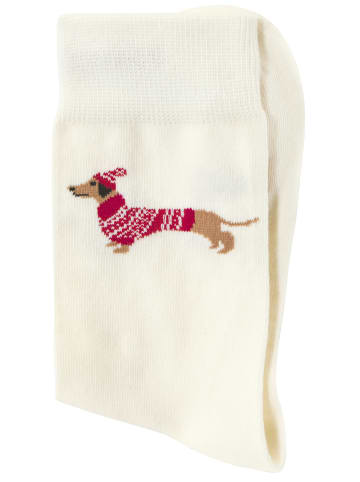LASCANA Freizeitsocken in 1x grün, 1x ecru