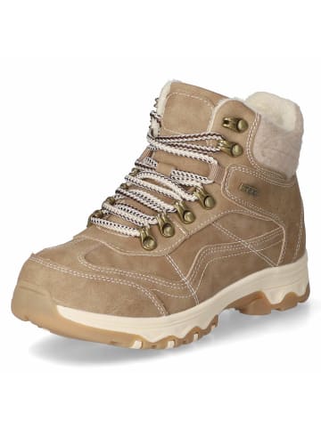 Jane Klain Schnürstiefel in taupe