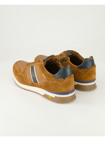 Camel Active Klassische Schnürschuhe in Braun