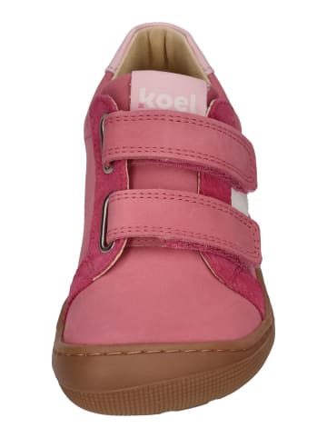 KOEL Sneaker Low DENIS NAPA NEW 3.0 in rosa