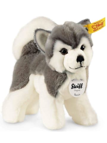 Steiff Bernie Husky 17 grau/weiss st in Weiß ab 0 Monate