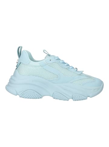 Steve Madden Sneaker in Baby Blue