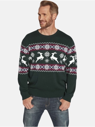 Jan Vanderstorm Pullover TORE in grün gemustert