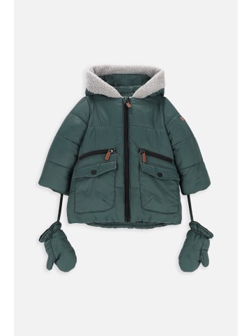 Coccodrillo Winterjacke in grün