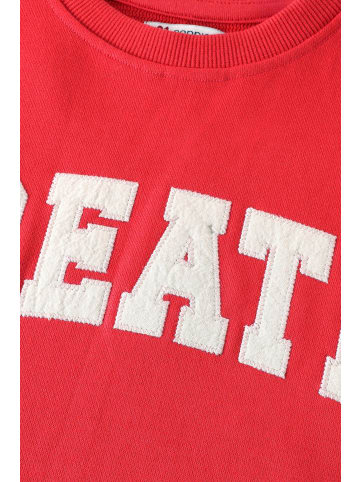 Noppies Sweater Create in Poinsettia