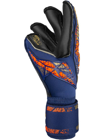 Reusch Torwarthandschuh Attrakt Gold X Evolution in 4411 premium blue/gold/black