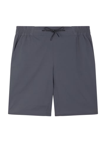 Berghaus Shorts in GREY PINSTRIPE