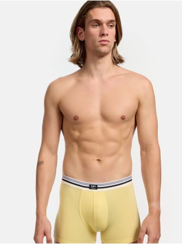 DIM Boxer Smart 1er-Pack in Gelb