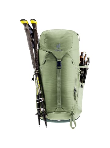 Deuter Rucksack Trail 24 in Schilf1214