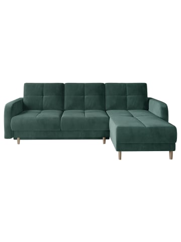 MF Design Roxana in Grün -  (L) 165 x (B) 240 x (H) 90 cm