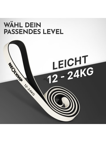 Neolymp Widerstandsband "HRB430" Stufe 2 in Grau, 12-24 kg