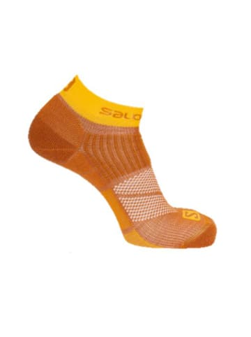 SALOMON Wandersocken 1er Pack hike in Cumin/Saffron