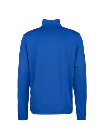 Puma Sweatshirt teamRISE 1/4 Zip in blau / weiß