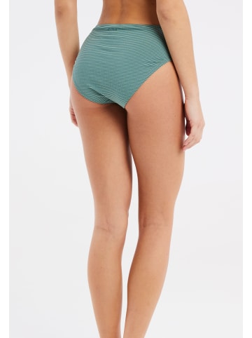 Protest " MIXCELEBESY in Green Baygreen