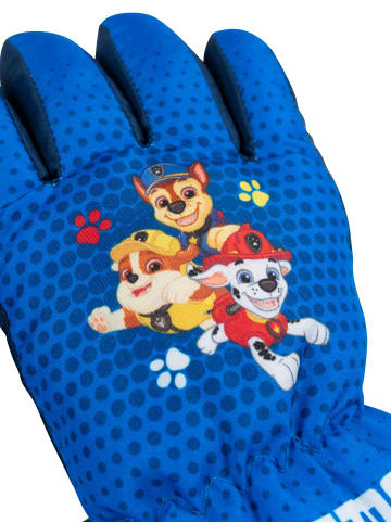 Paw Patrol Paw Patrol Winter Winterhandschuhe Schneehandschuhe Handschuhe in blau