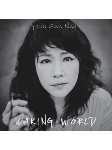 I-DI Musik - Waking World
