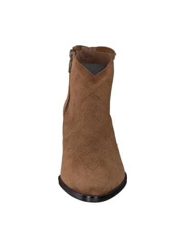 Paul Green Ankle Boots in Braun