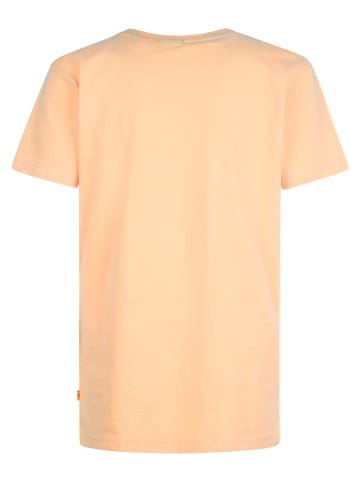 Petrol Industries 2er-Pack Jersey T-Shirts mit Print Mulegé in Mehrfarbig