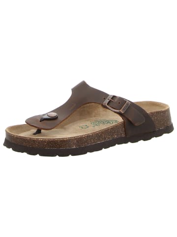 Genuins Zehentrenner in braun