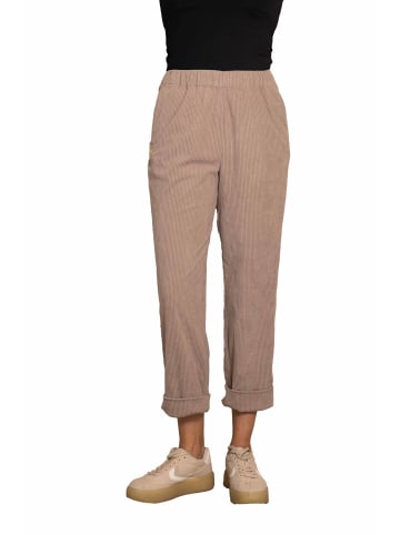 ZHRILL Hosen ZHPIA TAUPE in TAUPE